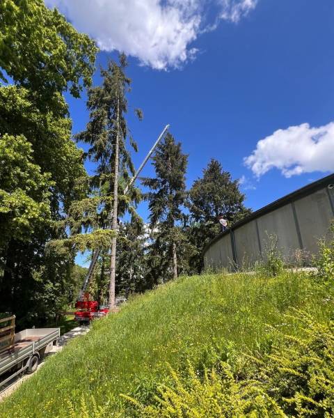 Assistance au remplacement d'un vitrage d'une verrière de toit à Versailleux (01)