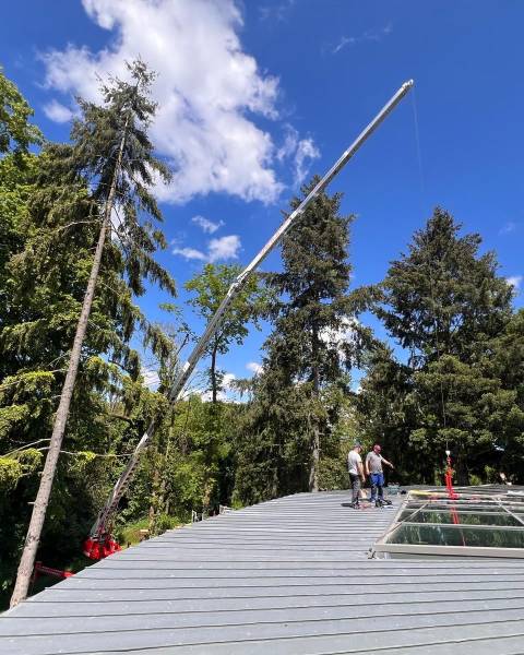 locatio grue pour verrière lyon