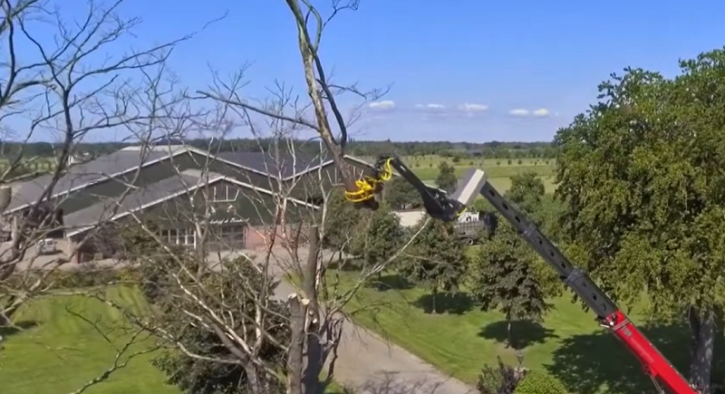 Location d'un GRAPIN COUPEUR pour élagage ou abattage d'arbres à Lyon