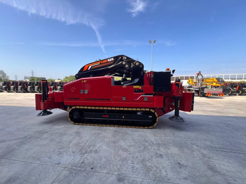Louer une MINI GRUE BG LIFT CWE 525 à Lyon et en Rhônes-Alpes