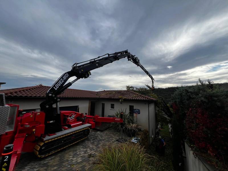 Location d'un GRAPIN COUPEUR pour élagage ou abattage d'arbres à Lyon