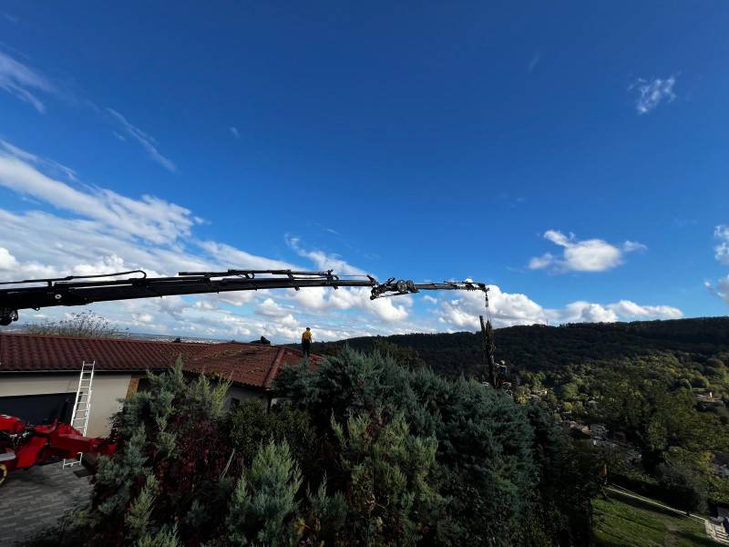 Location d'une grue araignée équipée d'un grapin coupeur pour élagage/abattage d'arbres à Lyon