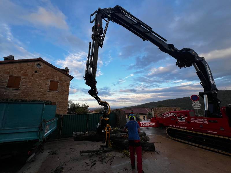 Location d'une grue araignée équipée d'un grapin coupeur pour élagage/abattage d'arbres à Lyon