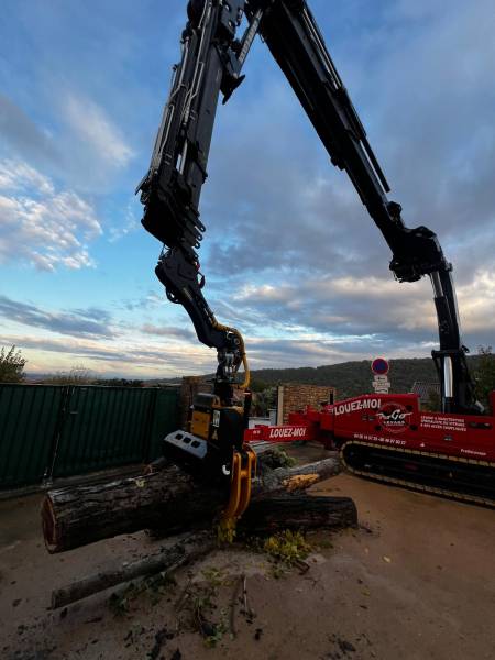 location d'engin pour élagage et abattage d'arbres
