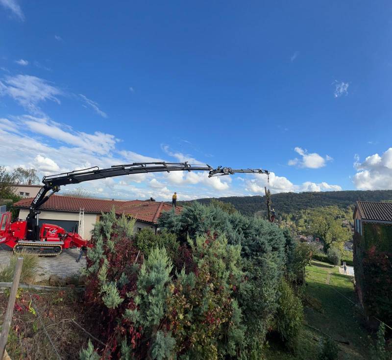 Location d'une grue araignée équipée d'un grapin coupeur pour élagage/abattage d'arbres à Lyon