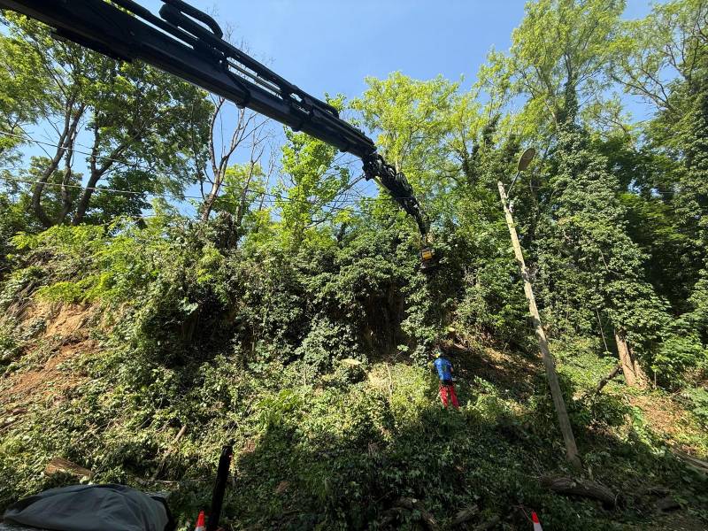 Louer une grue araignée avec grappin et panier pour élagage à Lyon (69)