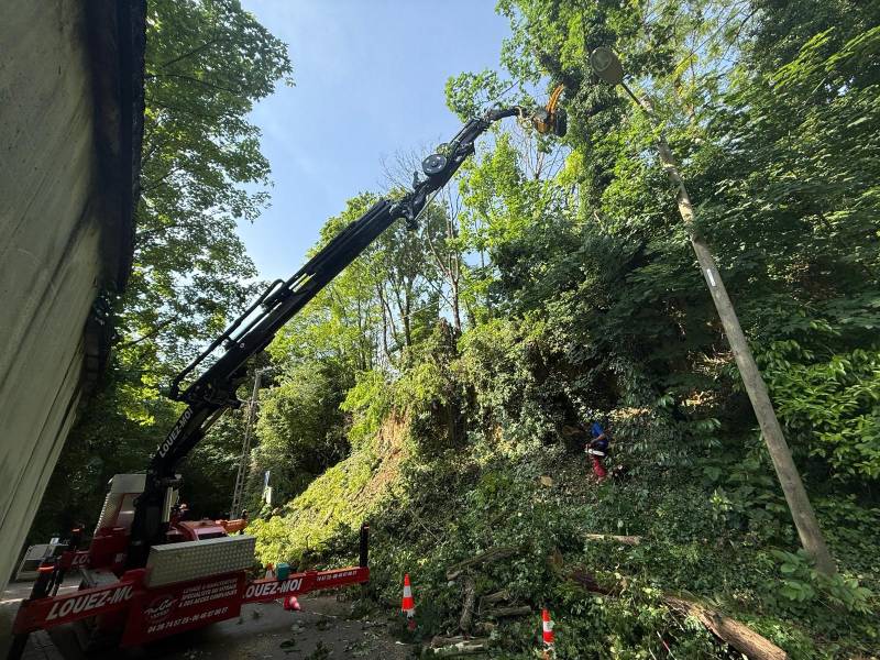 grapin coupeur élagage