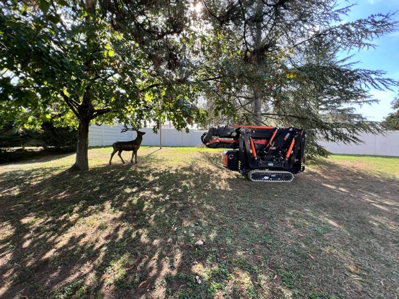 Location d'une MINI GRUE ARAIGNEE sur chenilles BG Lift 250 avec opérateur