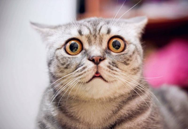 Bientôt un nouveau jouet chez PROGO LEVAGE!!!